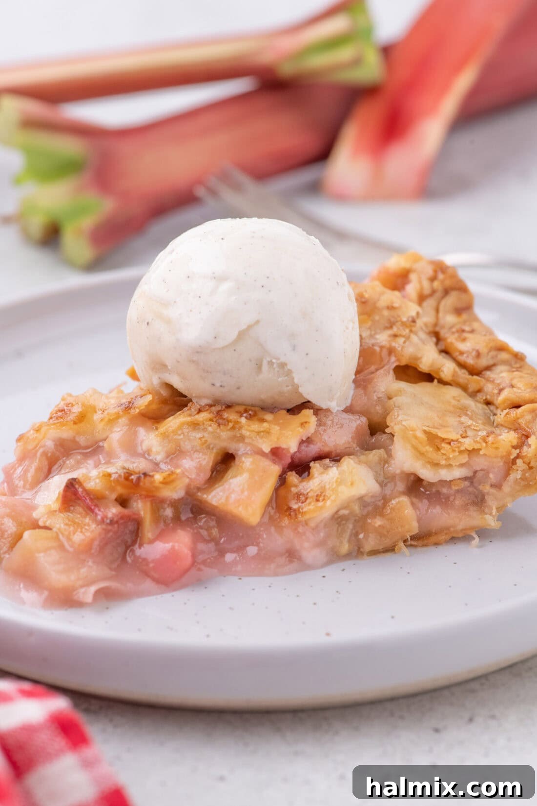 Tangy Rhubarb Delight 3 A slice of golden-brown rhubarb pie on a white plate, topped with a scoop of melting vanilla ice cream.