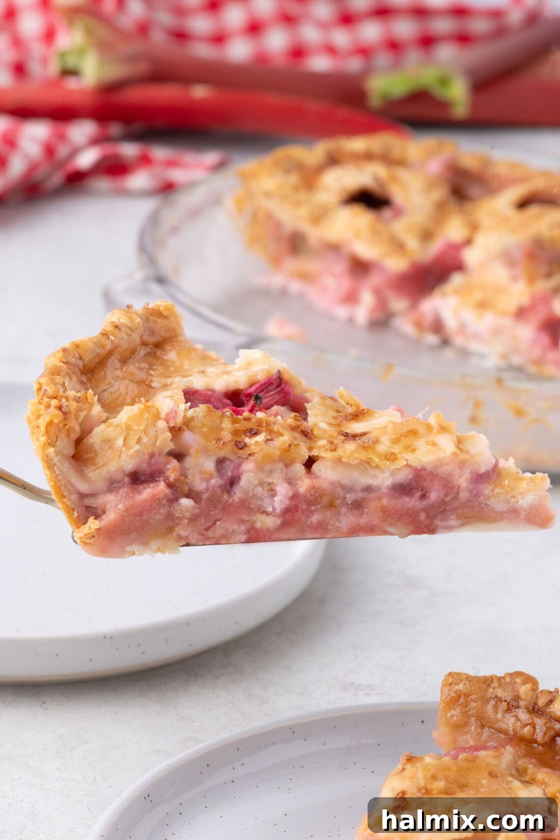 Tangy Rhubarb Delight 21 A slice of golden-brown rhubarb pie being lifted from the pie plate with a pie server, showcasing the rich filling.