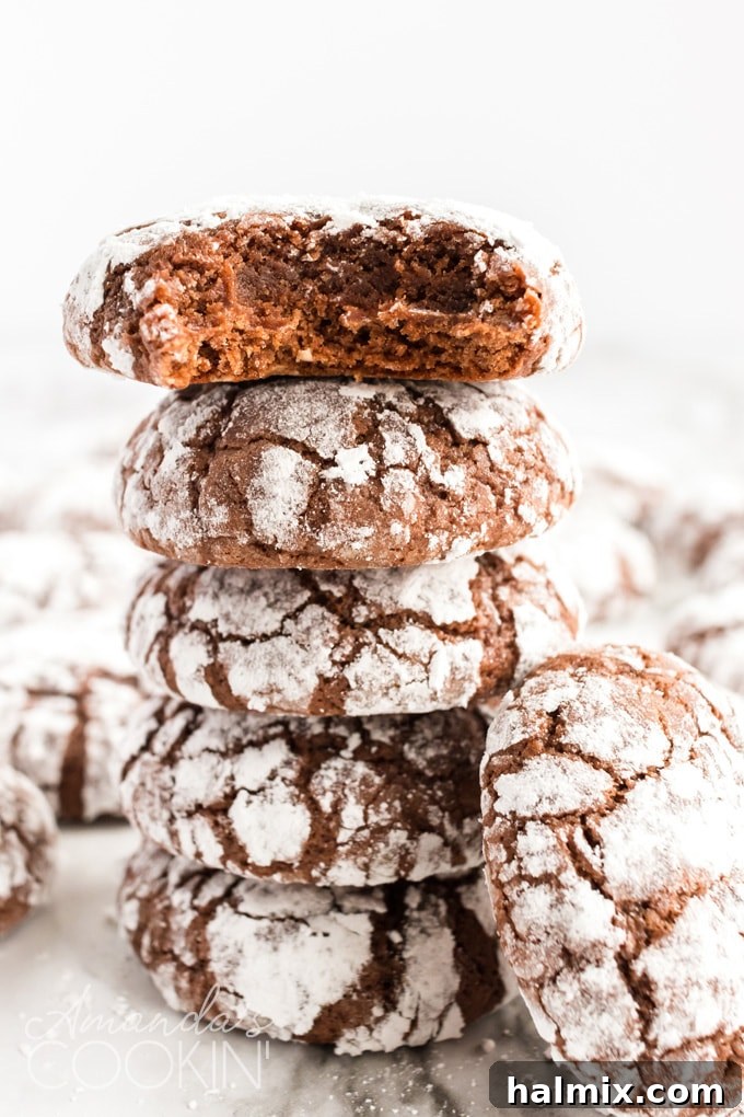 These chocolate snow cookies taste just like powdered sugar dusted brownies! The crinkled tops make them look like they're topped with snow. Perfect for the holidays! #chocolatecookies #snowcookies #christmascookies #browniecookies #powderedsugar #softcookies stack of chocolate snow cookies