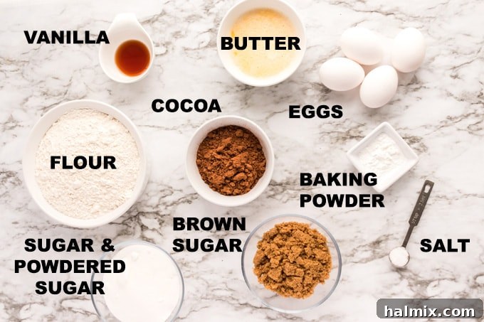 Rich Chocolate Crackle Bites 2 ingredients for chocolate brownie snow cookies