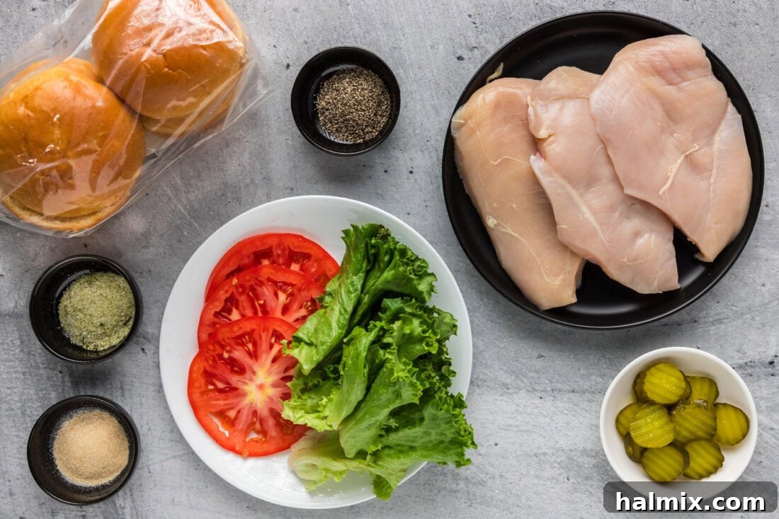Fresh ingredients laid out for making a grilled chicken sandwich, including chicken breasts, spices, and a bun