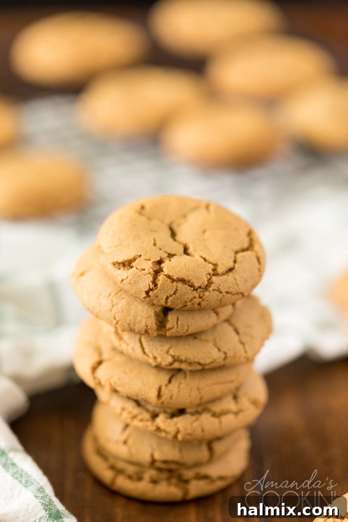 A perfectly arranged stack of five golden-brown gingersnap cookies, showcasing their inviting texture and sugar-coated finish.