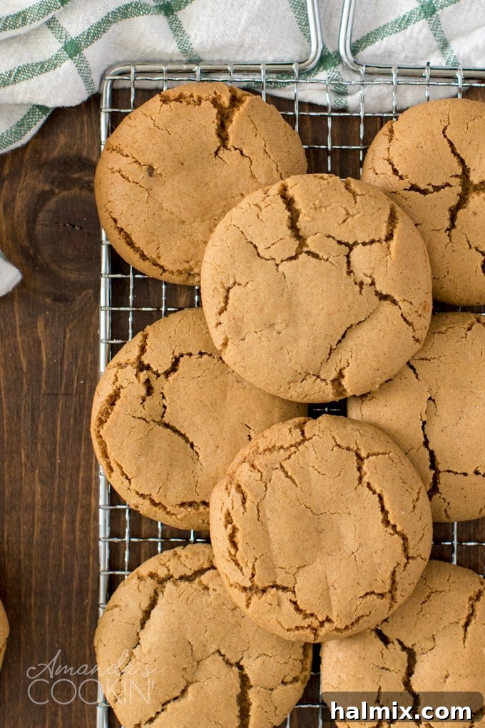Freshly baked gingersnap cookies cooling on a wire rack, ready to be enjoyed.