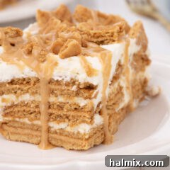 Nutter Butter Dream Cake 14 slice of nutter butter icebox cake with peanut butter drizzle on white plate