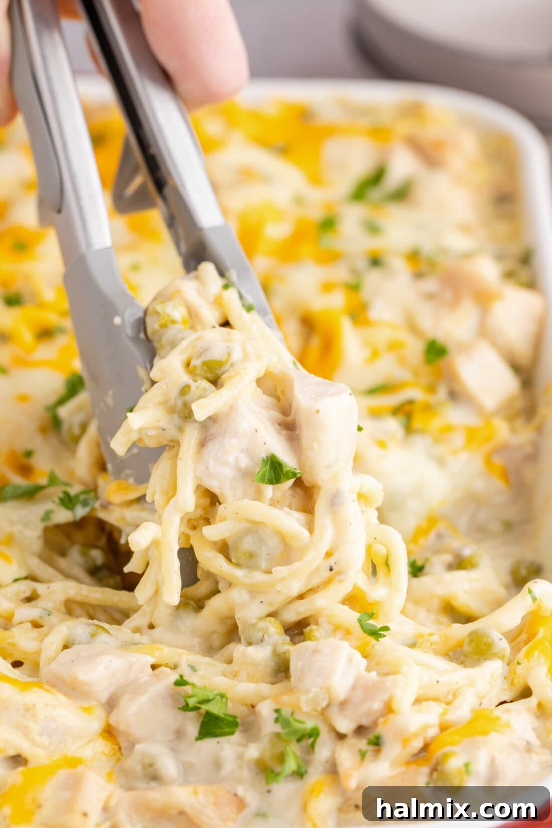 Tongs picking up Turkey Tetrazzini from a pan, showcasing its creamy texture and golden top.