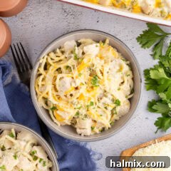 Close up photo of a bowl of Turkey Tetrazzini, showing its delicious texture.