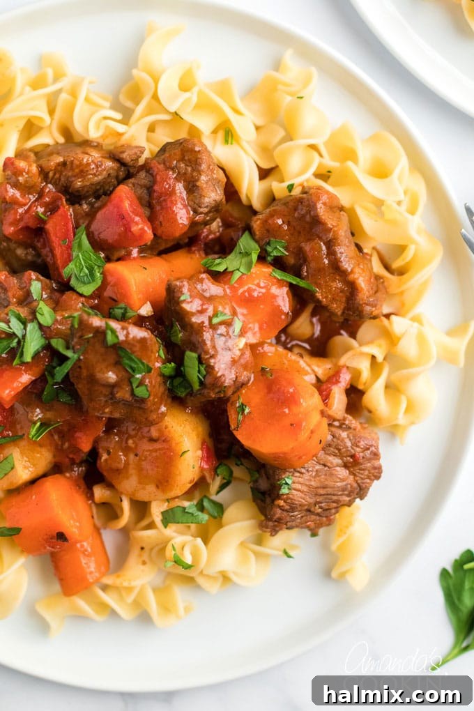 plate of hungarian goulash over egg noodles