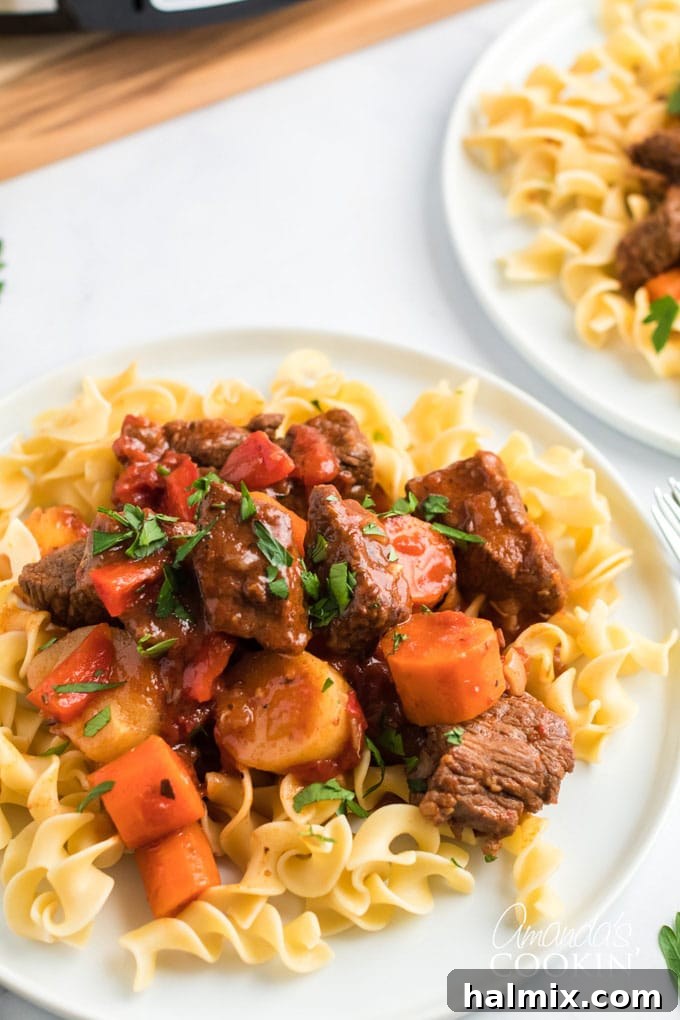 plate of Hungarian goulash over egg noodles
