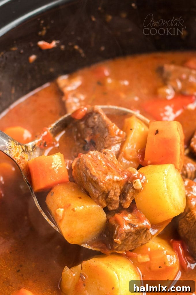 ladle full of goulash beef stew