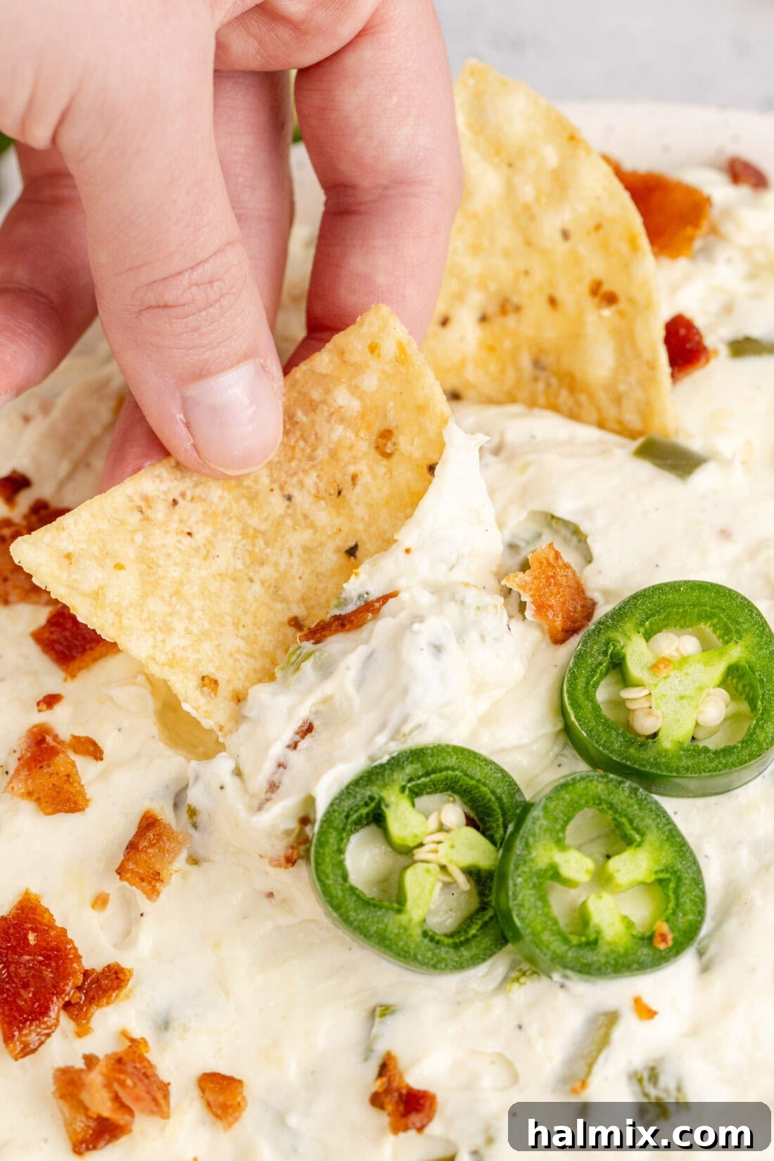 Chip being dipped into a bowl of Crockpot Jalapeno Popper Dip, showcasing its creamy texture