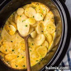 Close up photo of a spoon in a Crockpot full of scalloped potatoes