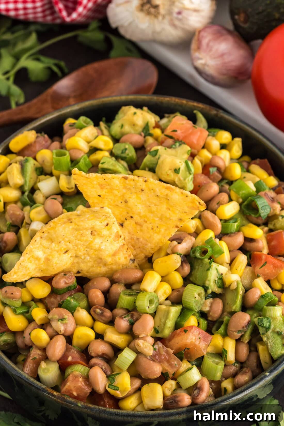 Prairie Jewel Dip 2 Close-up photo of a bowl of vibrant Cowboy Caviar with two crispy tortilla chips scooping into the dip, showcasing the fresh vegetables and black-eyed peas.