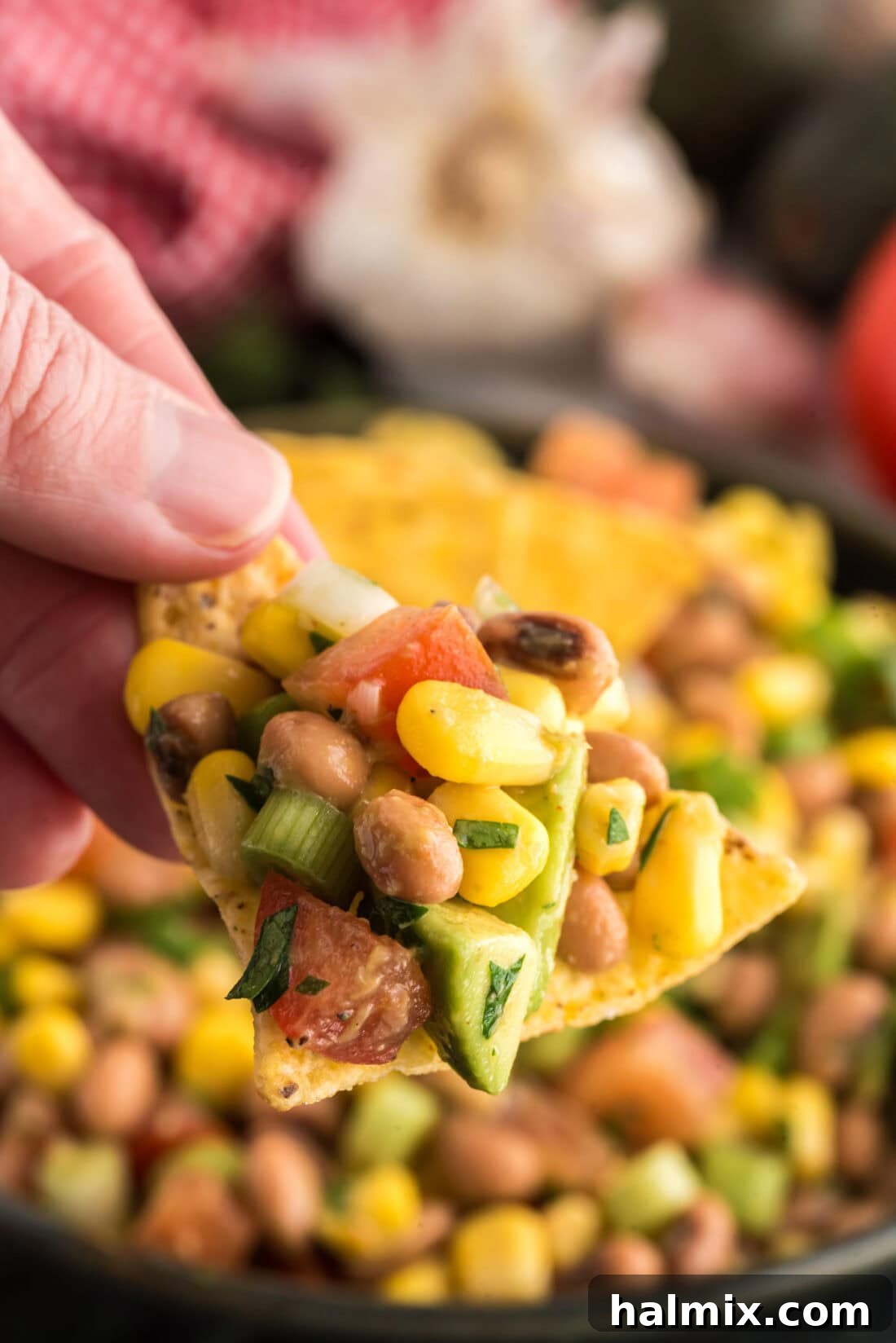 Prairie Jewel Dip 10 A single crispy tortilla chip generously loaded with colorful Cowboy Caviar, ready to be eaten, highlighting the textures and ingredients.