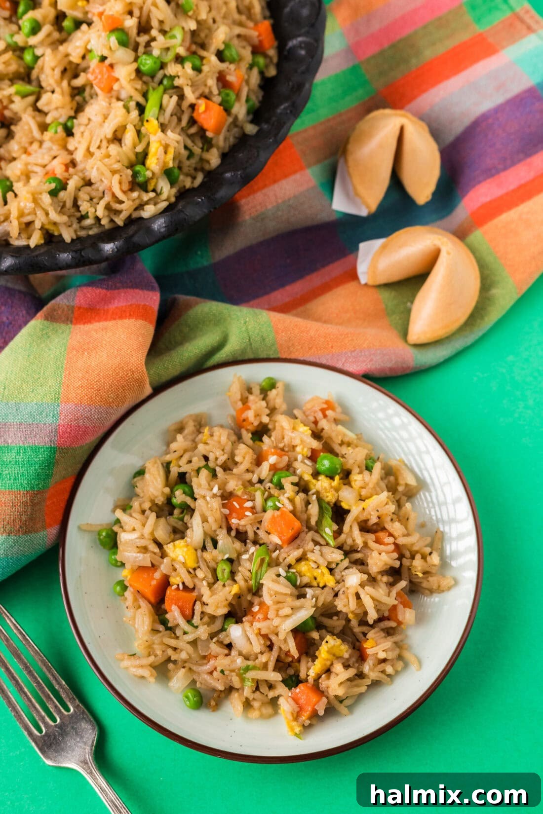 A hearty plate of Vegetable Fried Rice, garnished with green onions and ready for a satisfying meal