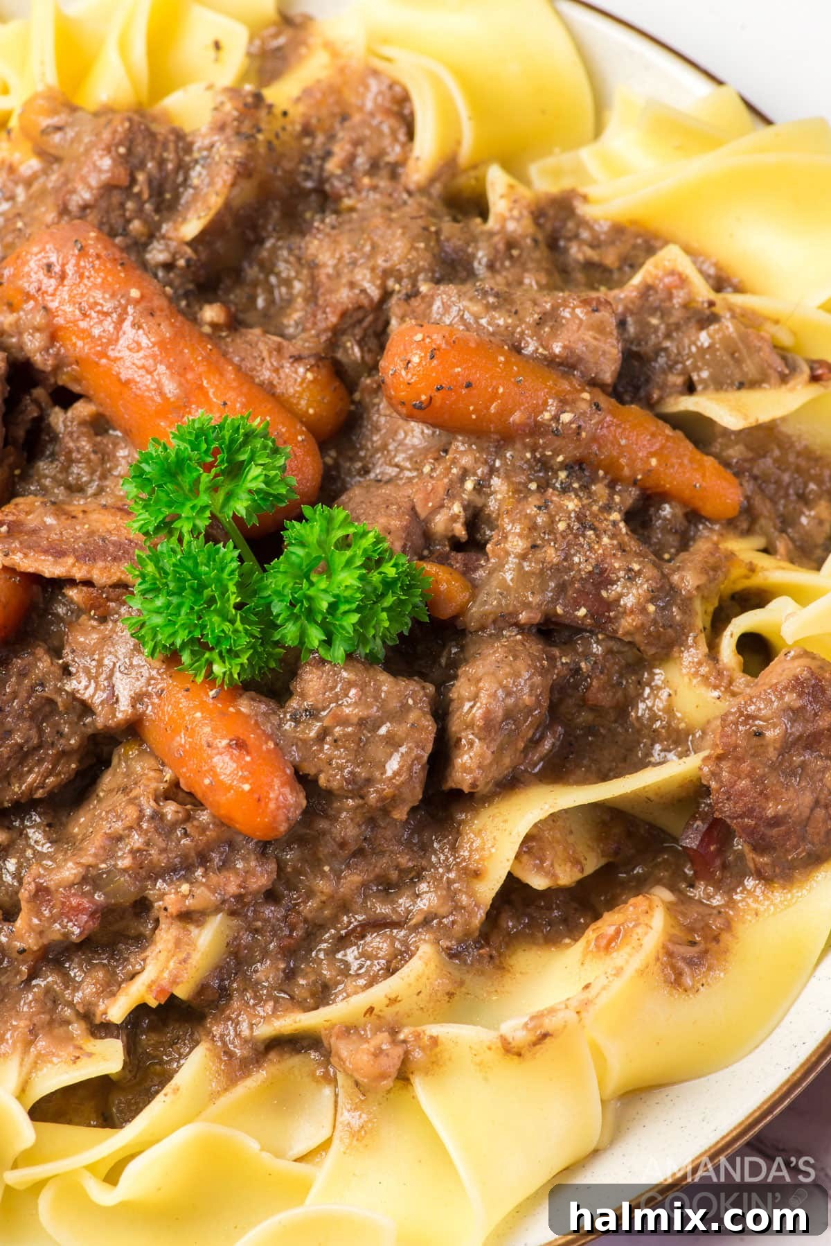 close up of beef burgundy on egg noodles