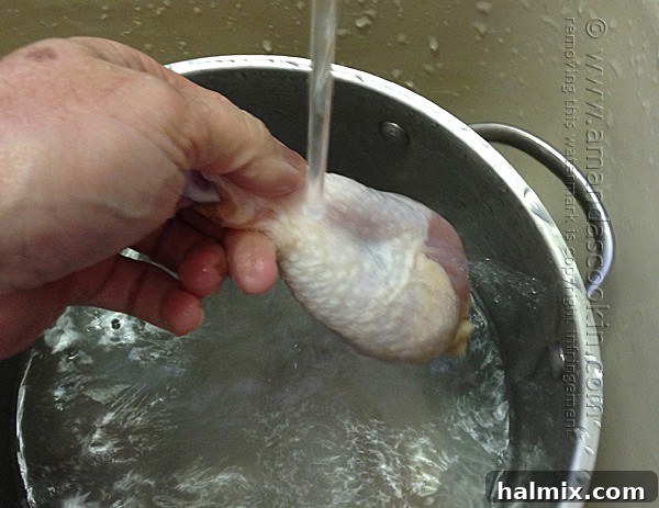 Crispy Baked Chicken Drumsticks 4 Rinsed chicken drumsticks being patted dry with paper towels.