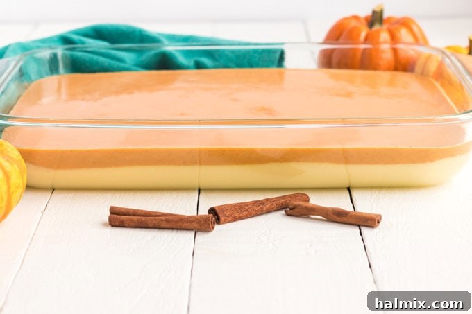 a baking pan showing two distinct layers of cake batter on the bottom and pumpkin mixture on top