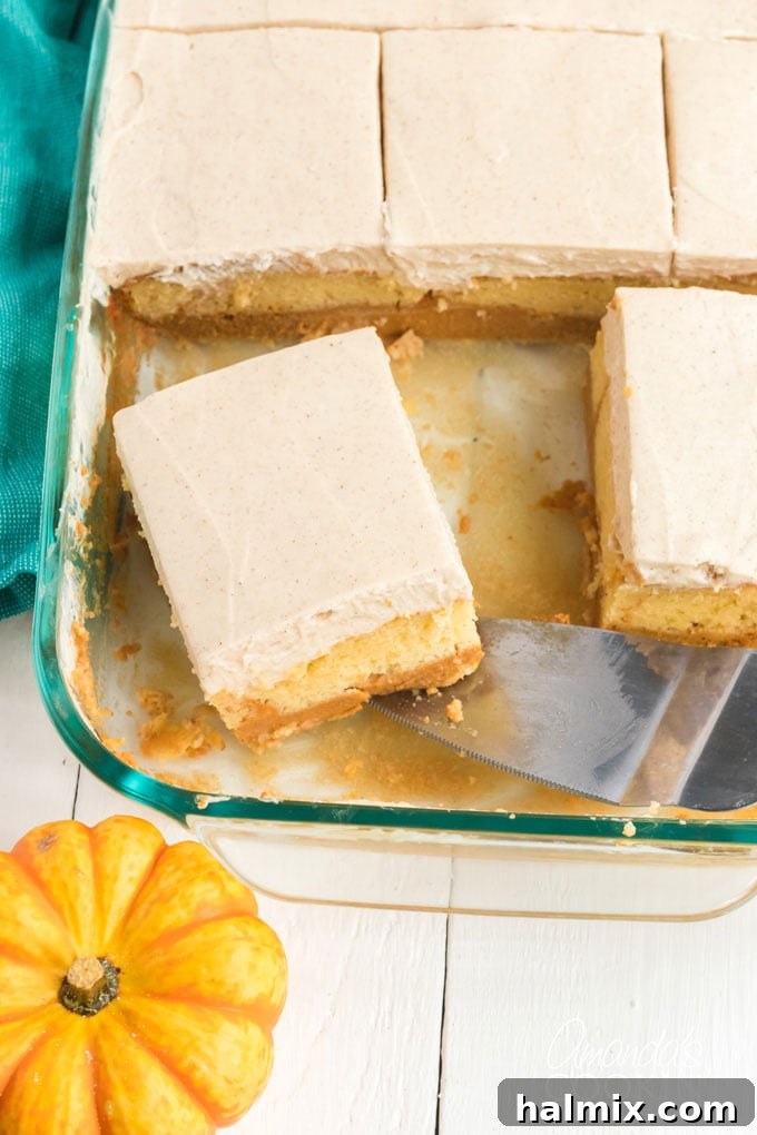 pan of pumpkin magic cake with a slice being removed, showcasing the distinct layers