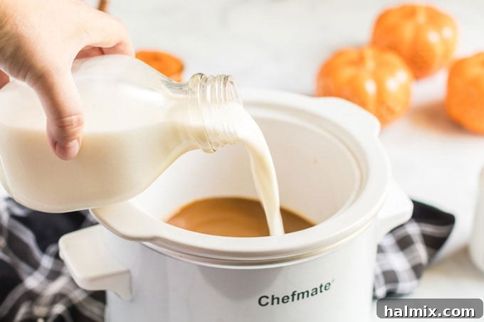 Spiced Autumn Comfort 5 pouring milk into slow cooker
