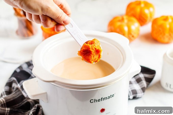 Spiced Autumn Comfort 6 add pumpkin to crockpot