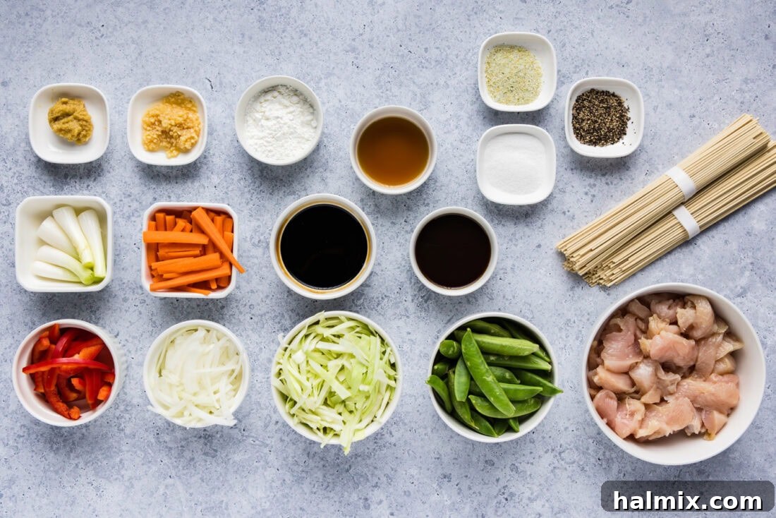 Flavorful Chicken Lo Mein Stir Fry 4 A flat lay photograph displaying all the fresh ingredients laid out for Chicken Lo Mein preparation, including chicken, noodles, and various chopped vegetables.