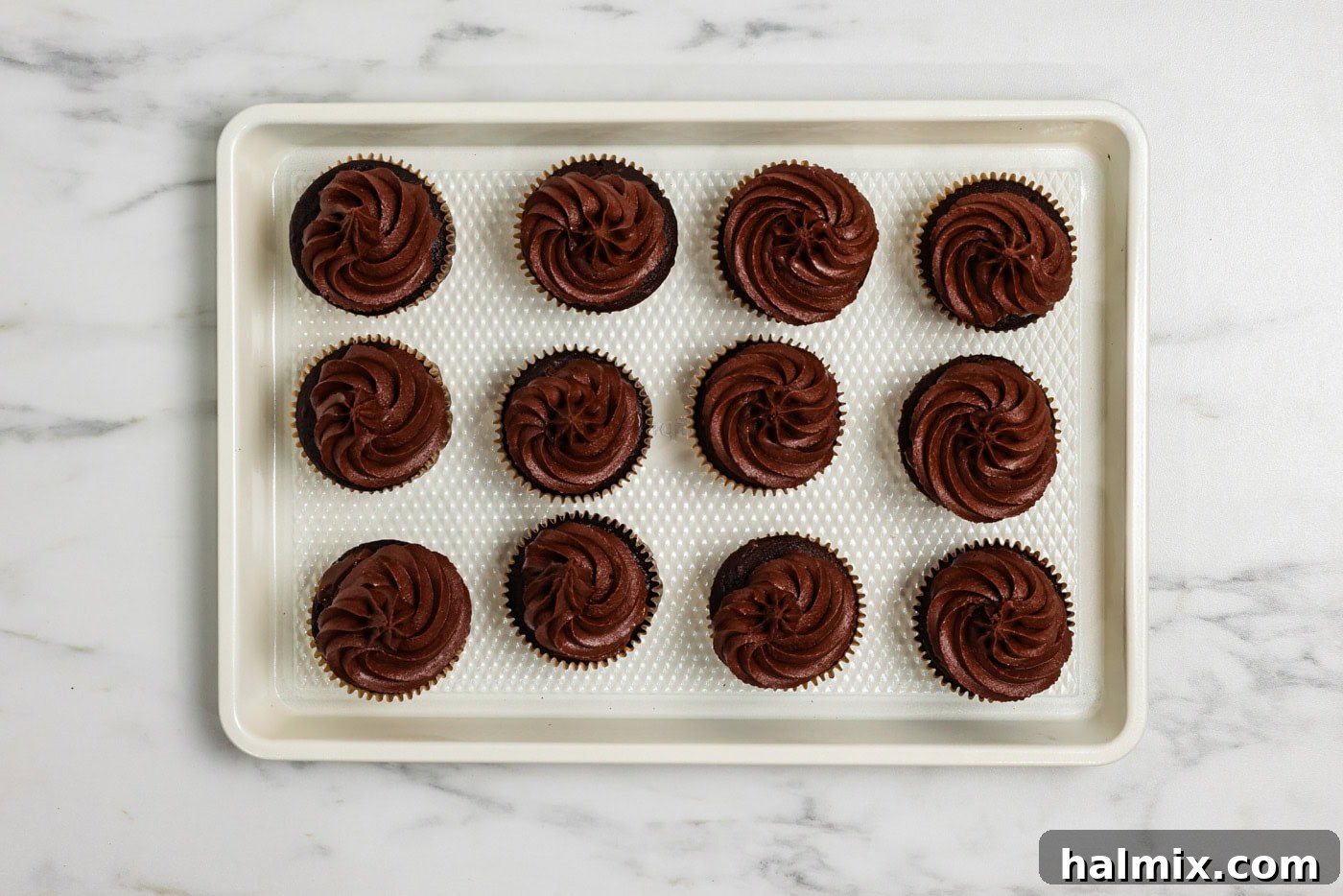 Chocolate frosted cupcakes neatly arranged on a baking sheet