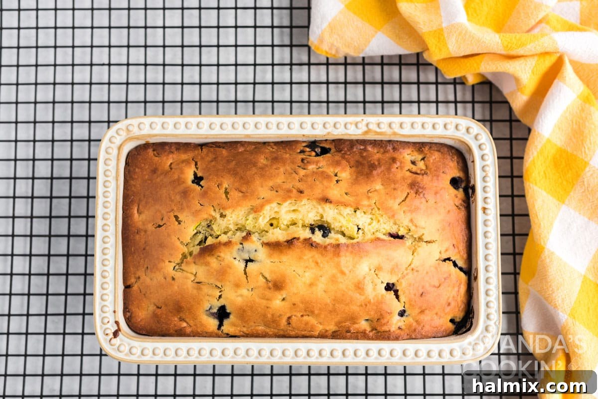 fully baked lemon zucchini bread resting in its pan on a wire rack to cool