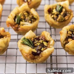 Close up photo of Brie Bites on a wire rack