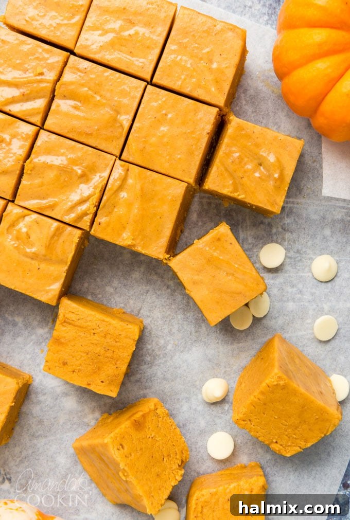 overhead view of sliced pumpkin pie fudge squares arranged on a white surface