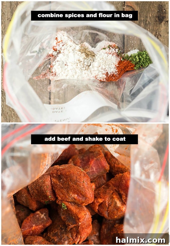 shaking meat with spices in bag