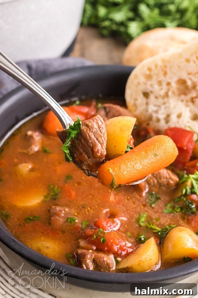 spoon full of goulash stew