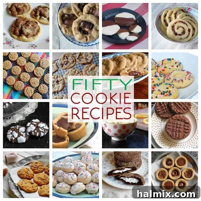 Photos of different cookie recipes including holiday, peanut butter, chocolate chip, and more, showcasing a variety of textures and decorations.