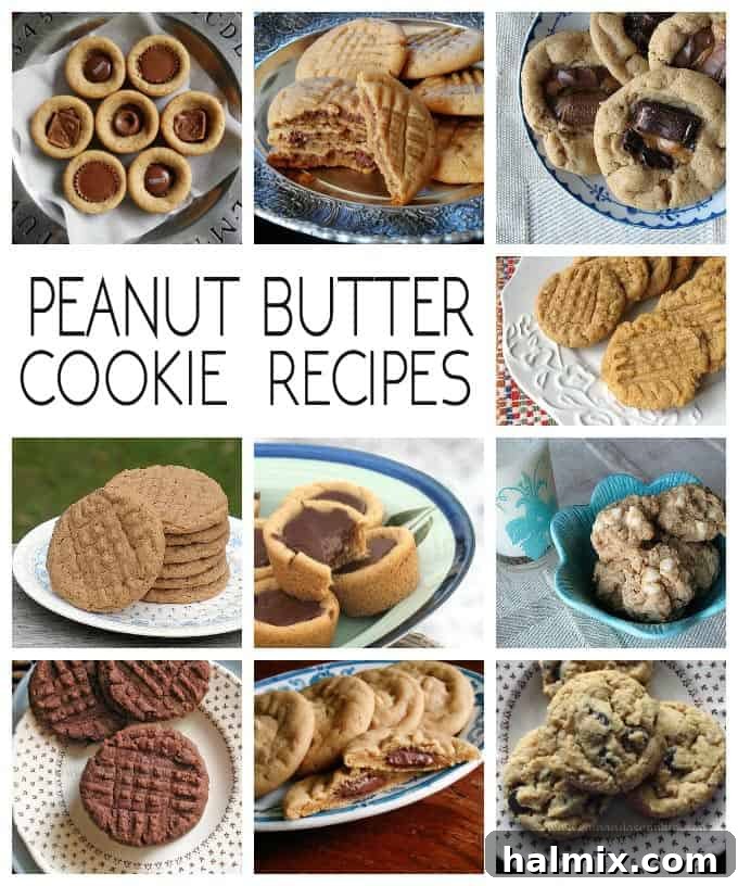 An appetizing photo collection of various peanut butter cookie recipes, highlighting their golden-brown color and characteristic textures.