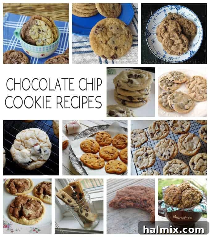 A vibrant collage of different chocolate chip cookie variations, showcasing various toppings, mix-ins, and sizes.