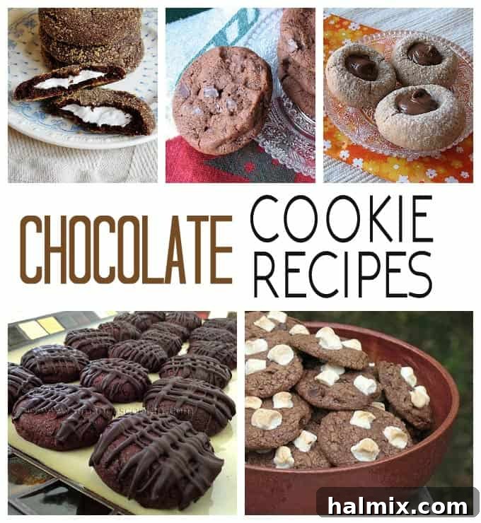 A close-up photo showcasing a variety of rich chocolate cookie recipes, emphasizing their deep color and tempting textures.