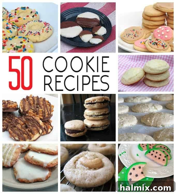 A beautiful array of miscellaneous cookie types, including colorful and uniquely shaped cookies, showcasing variety beyond standard categories.