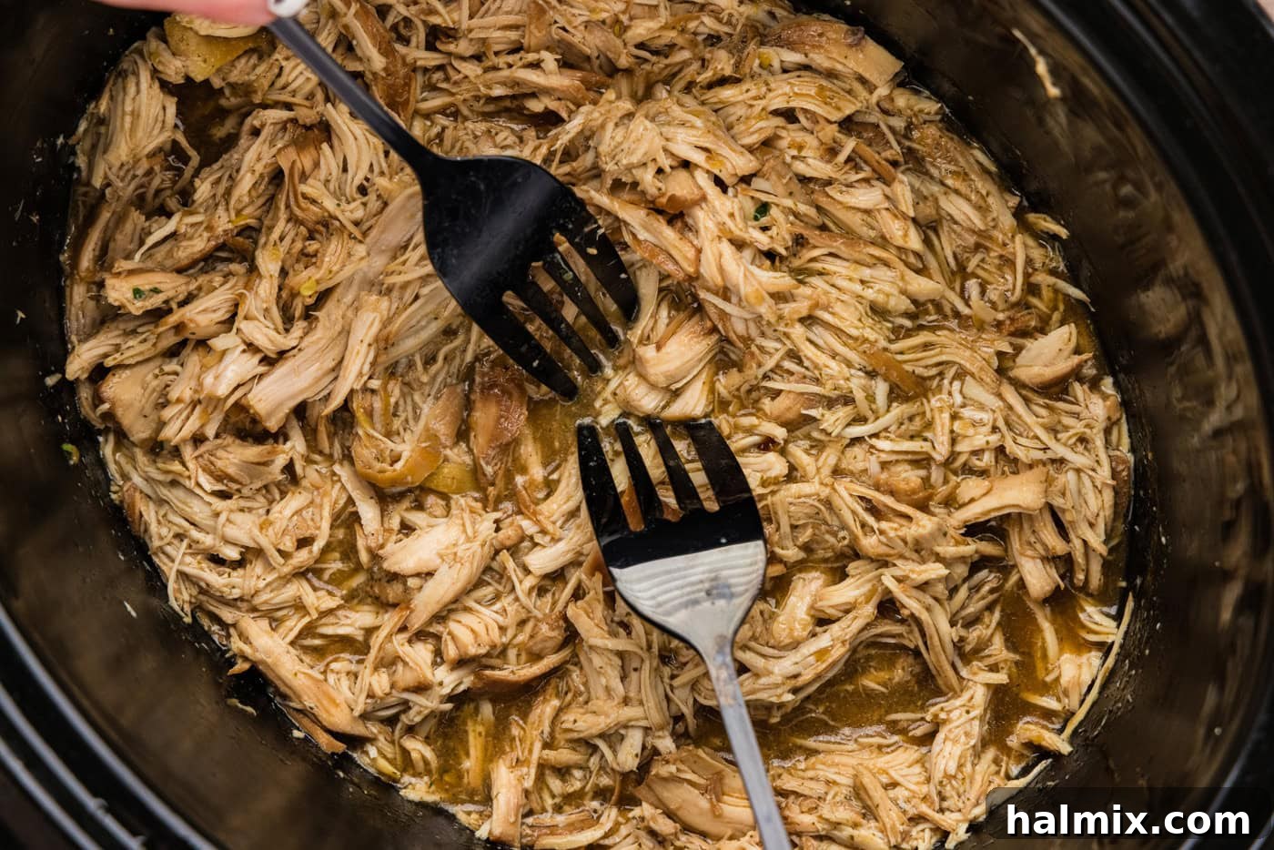 Shredding chicken in a crockpot with two forks
