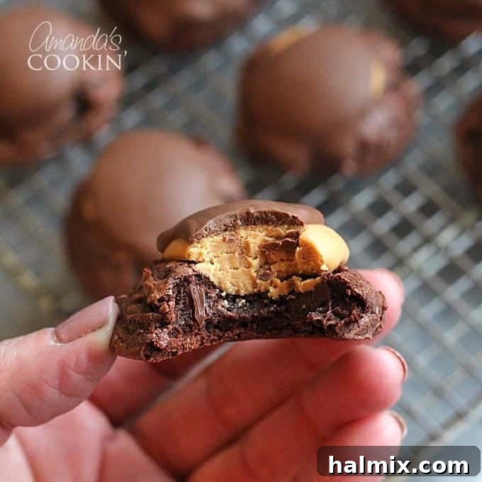 A close up photo of a hand holding a half eaten buckeye brownie cookie, revealing its layers of chocolate, peanut butter, and brownie.