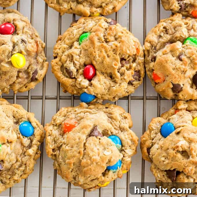 A vibrant close-up of Monster Cookies, studded with M&M's, chocolate chips, and oats.