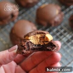 A close up photo of a hand holding a half eaten buckeye brownie cookie, showing its rich layers.