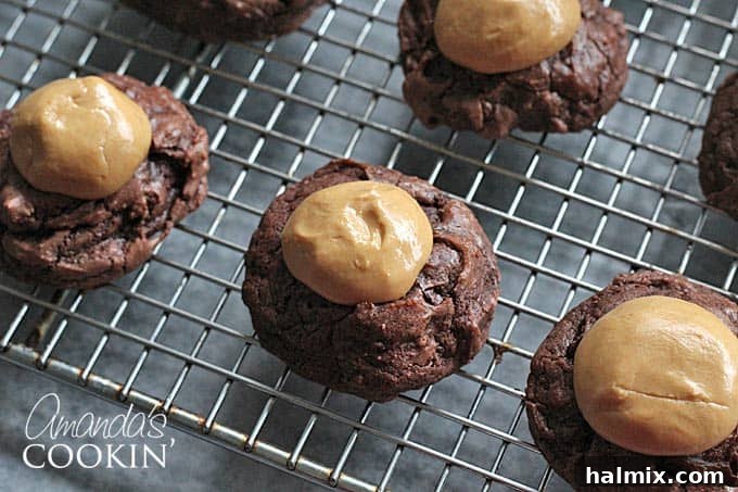 A close up photo of several buckeye brownie cookies arranged neatly on a wire cooling rack.