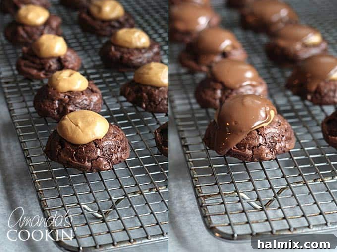 A beautiful array of buckeye brownie cookies resting on a silver wire cooling rack, ready to be enjoyed.