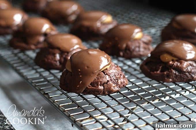 A close-up shot of a single buckeye brownie cookie on a cooling rack, showcasing its chocolate top and peanut butter center.