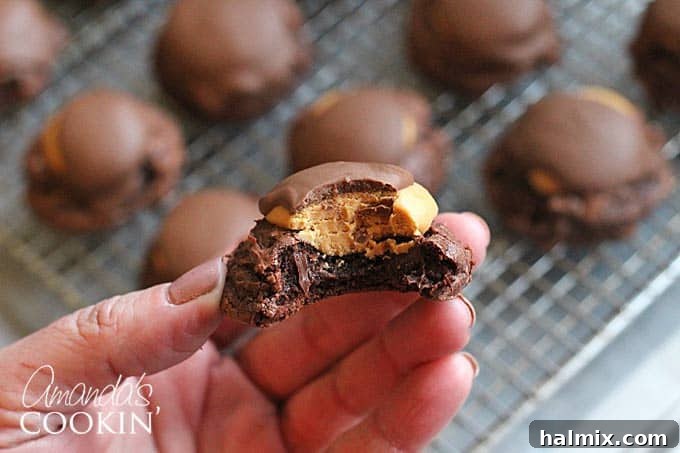A close-up photo of a hand holding a half-eaten buckeye brownie cookie, showing the layered interior.