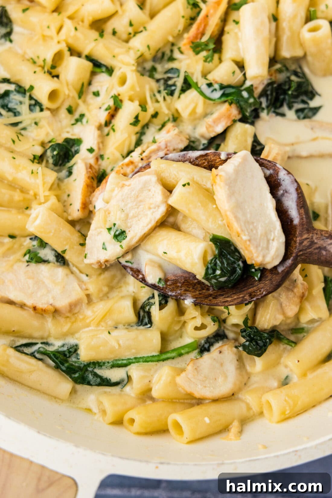 Close up photo of a spoonful of Garlic Chicken Pasta, showing the creamy sauce and tender chicken.
