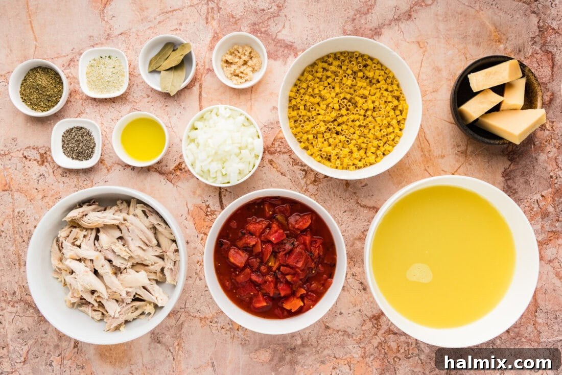 A flat lay photograph displaying all the fresh and pantry ingredients needed to prepare Chicken Parmesan Soup.
