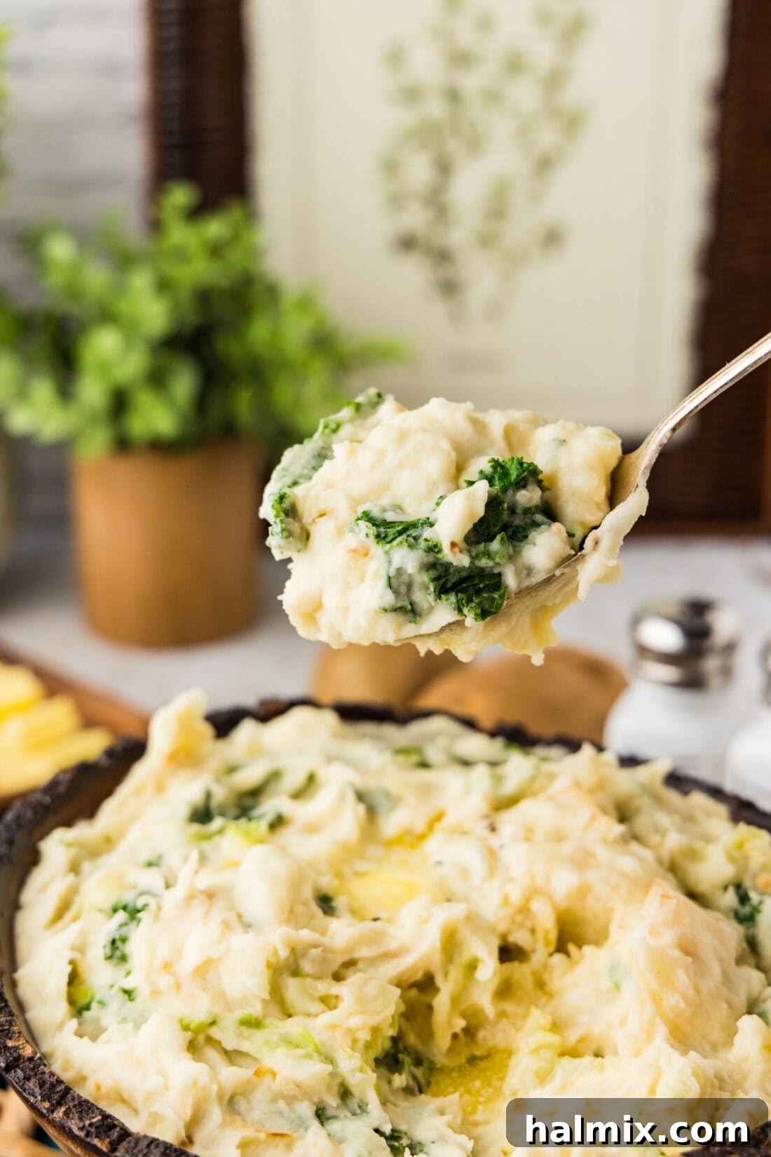 Colcannon: Ireland's Signature Mash 10 A spoonful of creamy Colcannon (Irish Mashed Potatoes) being held above a full bowl, showcasing its texture.
