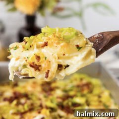 A close up of a spoonful of potatoes au gratin with bacon and leeks.