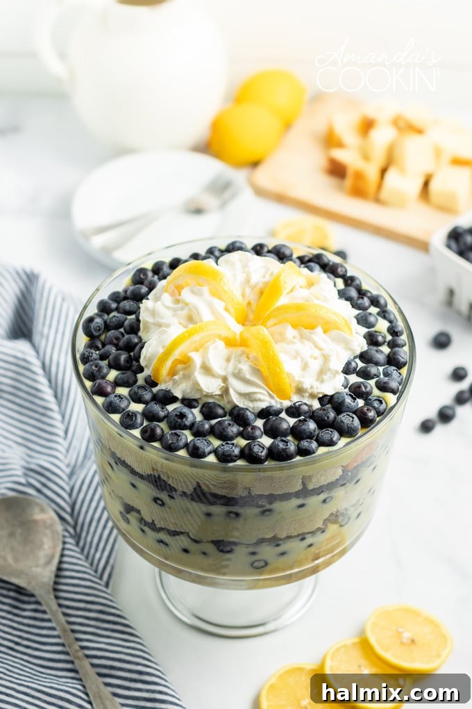overhead view of a blueberry topped lemon trifle