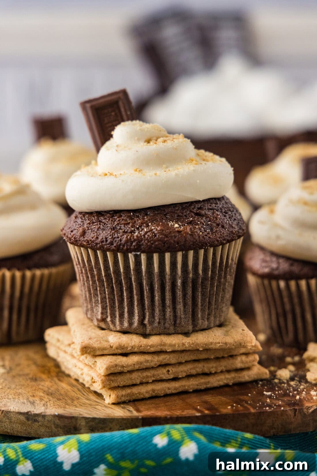 S'mores Cupcakes arranged beautifully on a serving tray